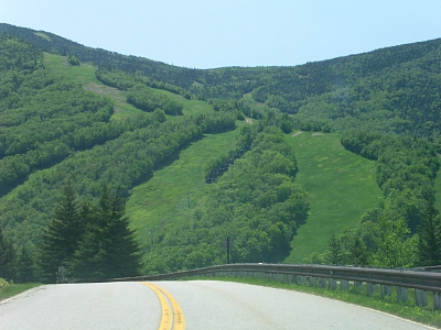 [Several green expansions of grass in meandering patterns down the hillside through the vast expanse of trees.]